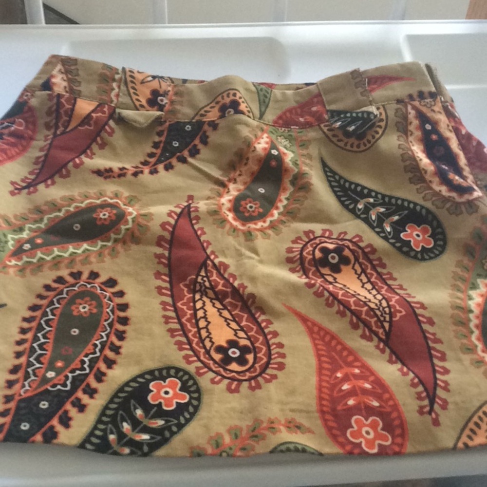 Zara Skirt